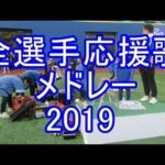 全選手応援歌メドレー 2019 横浜DeNAベイスターズ