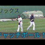 プロ野球選手のキャッチボール！〜オリックス・バファローズ宮崎春季キャンプ2019〜