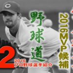 野球道　広島東洋カープ　ジョンソン　42　2016MVP候補　 vol.9