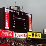 【広島東洋カープ】5月10日　広島対ヤクルト カープスタメン発表