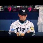 プロ野球開幕戦「阪神タイガースvs中日ドラゴンズ」（16/03/25）
