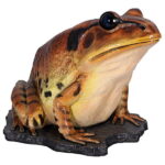 【カエル】巨大な縞足ガエル[ Great Barred Frog ] 【送料無料対象外】【代引不可】【同梱不可】【納期約2ヶ月】【メーカー直送】【カエルグッズ】