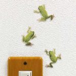 カエル グッズ 【FROGS!Color アマガエル】カラー ウォールステッカー カエル雑貨 爬虫類 インテリア かえるグッズ 壁 シール Wall Story