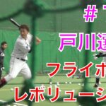 【西武ライオンズ、2018春野キャンプ】戸川選手のフライボールレボリューション！