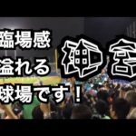 2015日本シリーズ第4戦バックネット裏 7回裏東京音頭