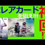 第3回ファンが選ぶ東京ヤクルトスワローズ公式トレーディングカードPART2【BBM開封】