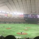 2017.4.22　9高山選手応援歌【阪神タイガース】東京ドーム