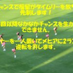 【阪神タイガース】6月15日阪神vs埼玉西武3回戦～甲子園